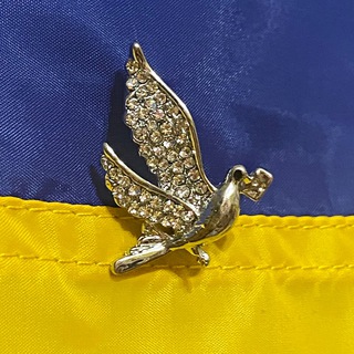 Свідома Білогородка