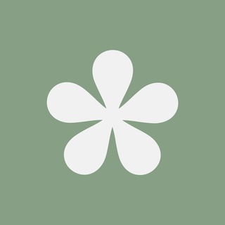 Bazilik school