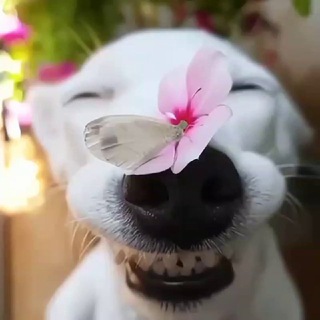 Артем