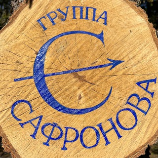 Группа Сафронова (чат)