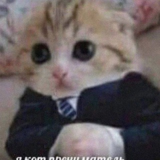 Фидбэк
