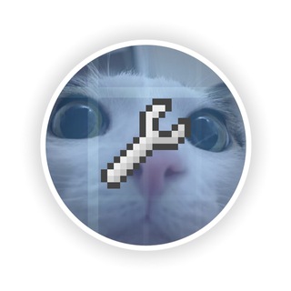 Інфа Пінчани 🐈
