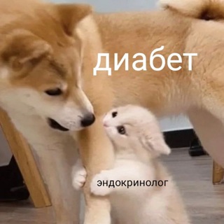 ЭНДОКРИНОЛОГ ОНЛАЙН🍰