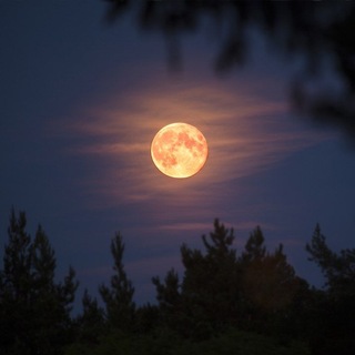 THE MOON🌙