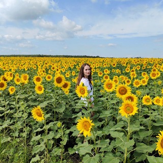 Darya