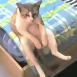 фу блог
