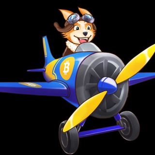 Pilot Doge Shilling Official