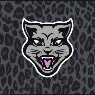 🏈КОШАЧЬЕ ЛОГОВО🏈