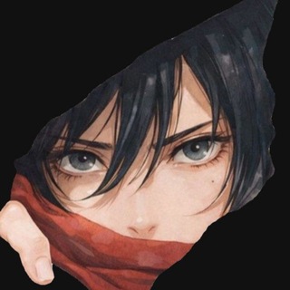 mikasa