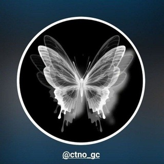 CTNO MENFES