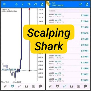 توصيات سالبينج Shark FOREX 🦈
