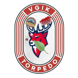 ВГИК | ТОРПЕДО Предложка