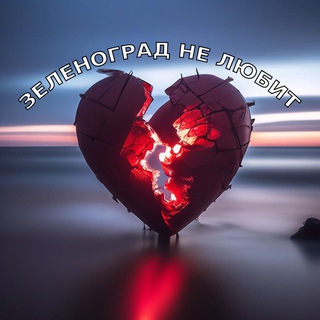 Зеленоград не любит бот