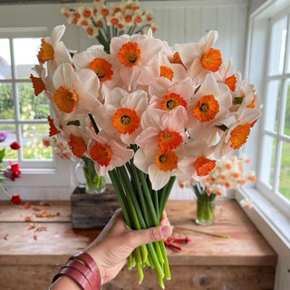 Куръон тафсири 🌺