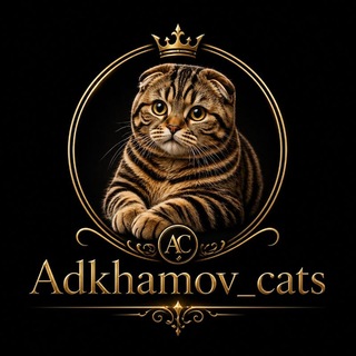 Adkhamov cats🐱
