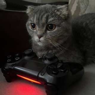 🌱Котяча м'ята🐈🎮