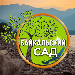 Ваши идеи и вопросы✍️