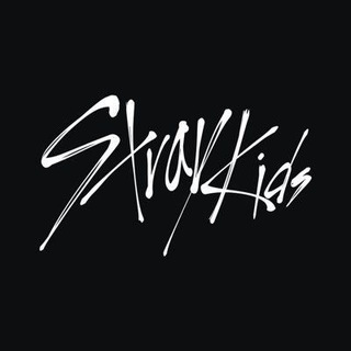 STRAY KIDS 🏁 STAY