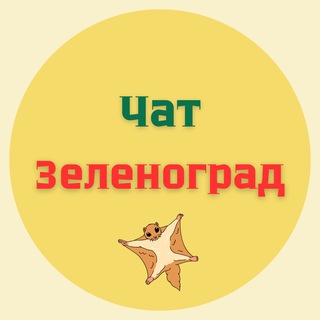 Твой Зеленоград Chat