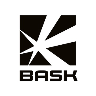 Бот BASK