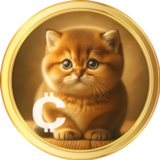 Baby Cat Coin