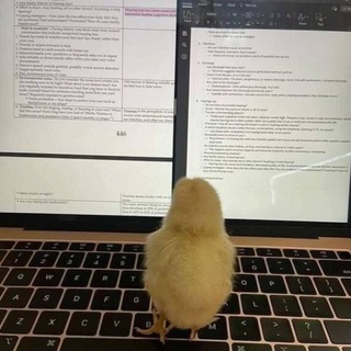 Animals Incorporated 📚