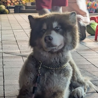 Лена