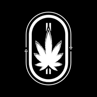 Canamo - AI for Agrotech using HEMP