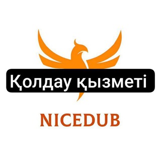 NiceDub қолдау қызметі