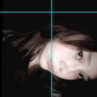 lesiss