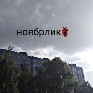 Ноябрлик🩶 реклама