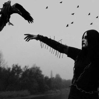 We are not your kind¡