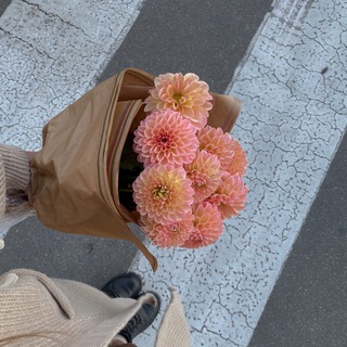 ablog 🍂📰