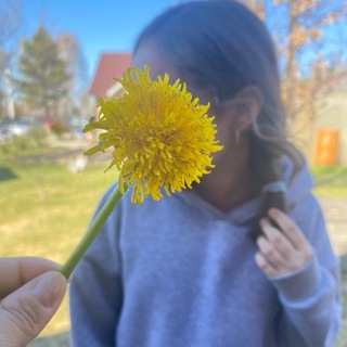 ✧