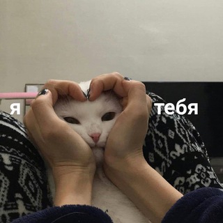 вайди и выйди