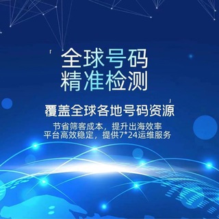 全球数据筛选 号码检测