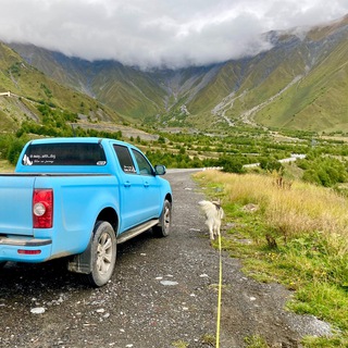 Away with dog