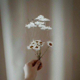 🌬🍃Mening sahifam🐻🖇🌼