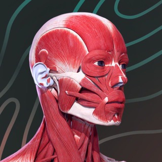 Easy Anatomy Support