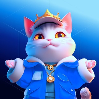 CatGram Chat