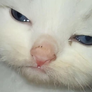 okokok