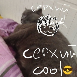 s² (Ку-ку, Кукурелья!)