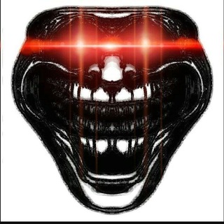 FLNIRE BATTLE