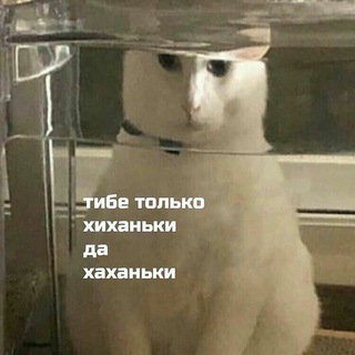 memes and choons