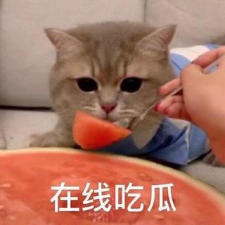 吃瓜|搞笑视频|色情