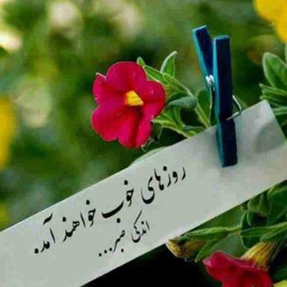 علی ali