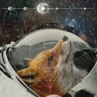 Astrology Fox