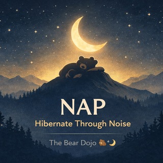 Crypto Merch Online Chat for NAP Bear Coin