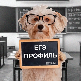 ЕГЭ ПРОФИЛЬ
