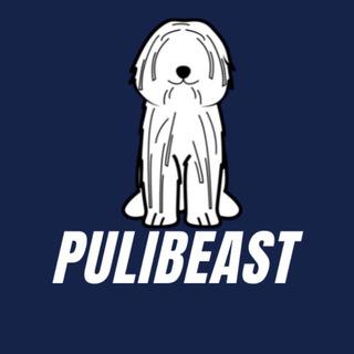 PULIBEAST Official 🐶🐶🐶 - We're LIVE ON PANCAKESWAP 🚀🚀🚀🚀🚀🚀🚀🚀